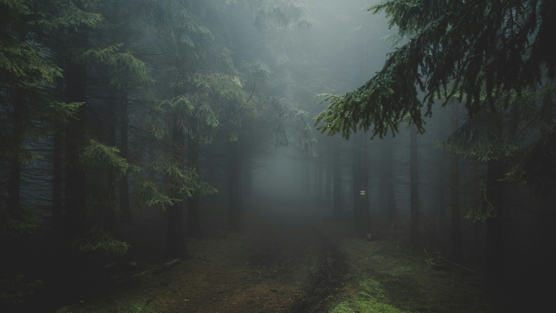 10 Minute Guided Meditation to Choose Peace during Uncertain Times