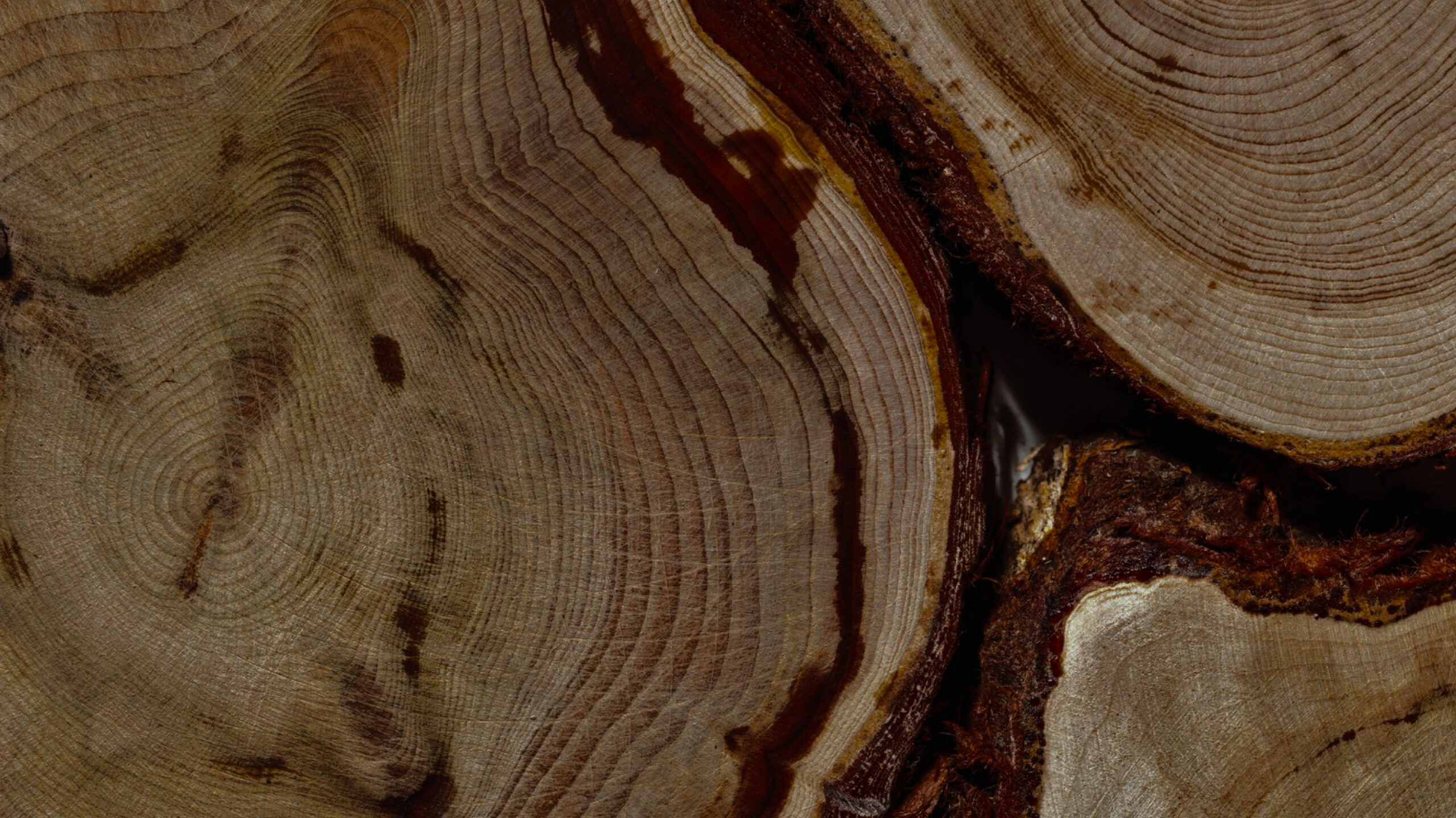 10-Minute Positive Morning Affirmations for Purpose & Potential