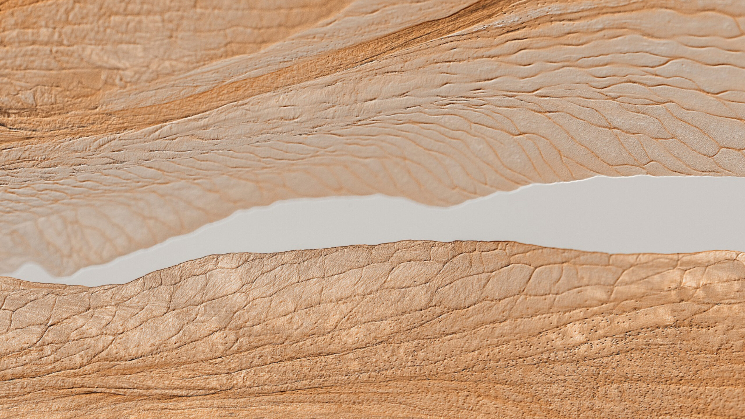 10-Minute Weekly Gratitude_ A Meditation for a Beautiful Week Ahead