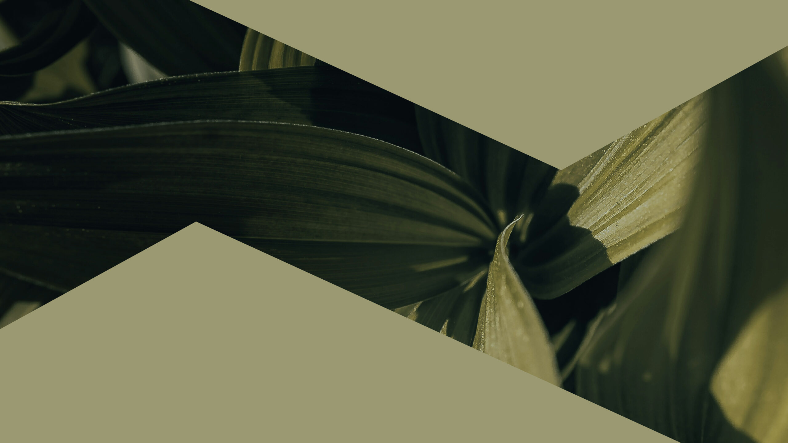 15-Minute Deep Breathing Meditation_ Focus, Calm, and Ease