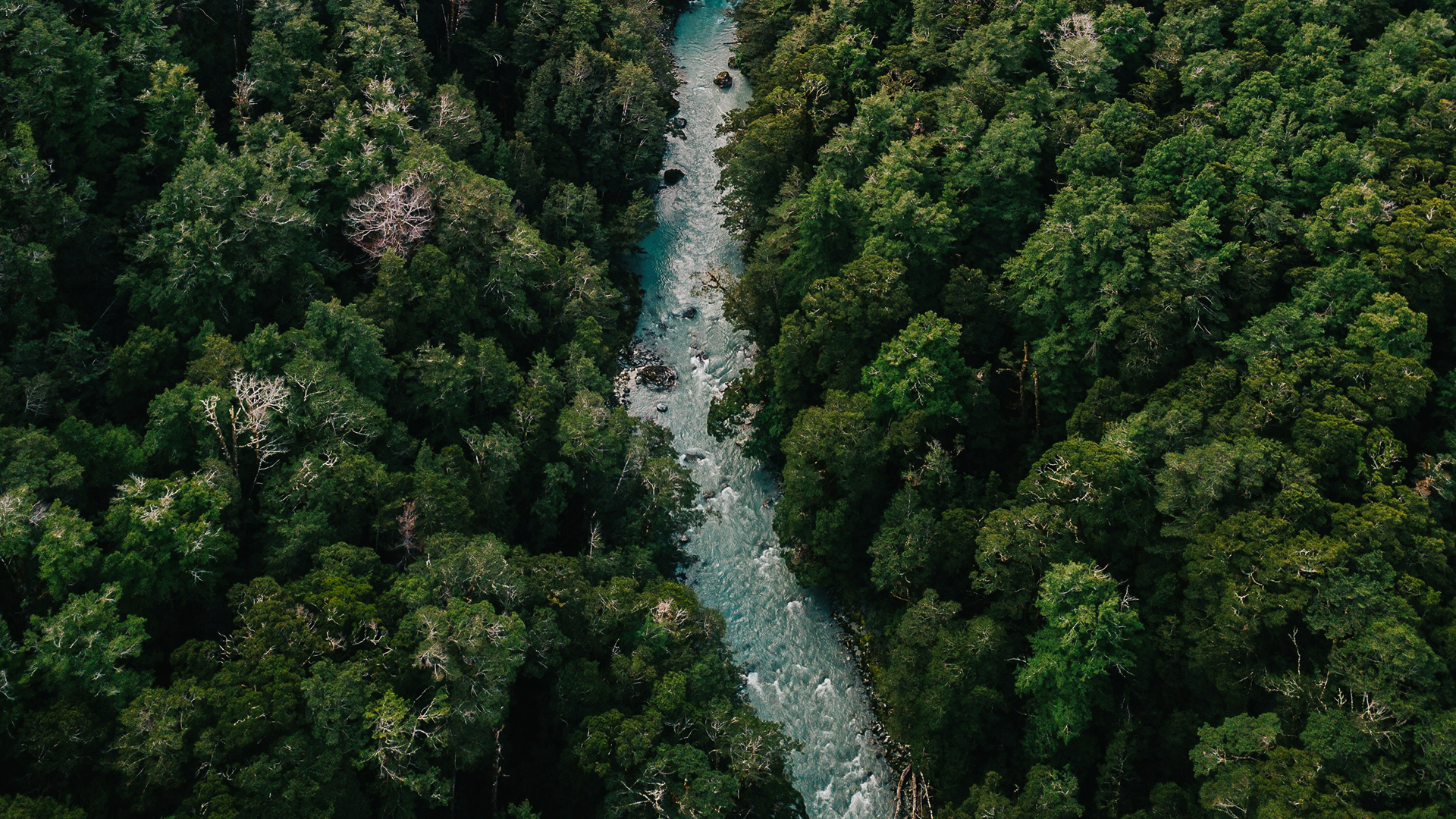 5-Minute Grounding Meditation for Busy Days_ Take a Break