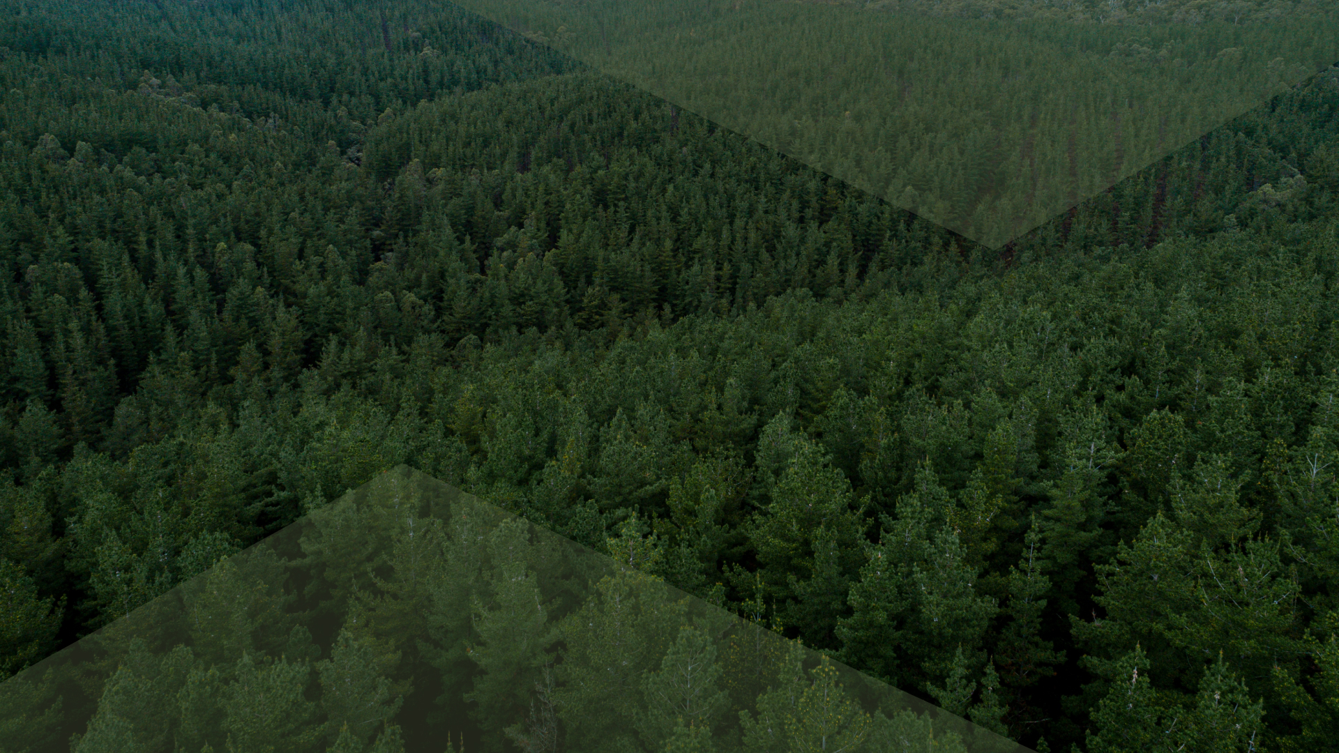 8 Minutes to Improve Your State of Being_ Daily Guided Meditation