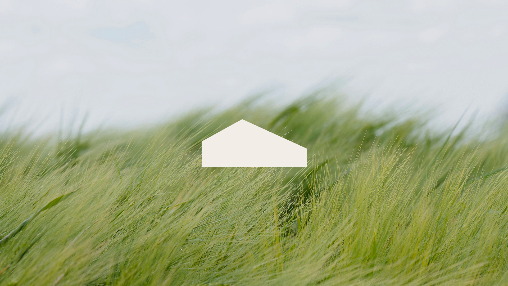 Cultivating Comfort_ A Cozy Meditation for Warmth & Ease