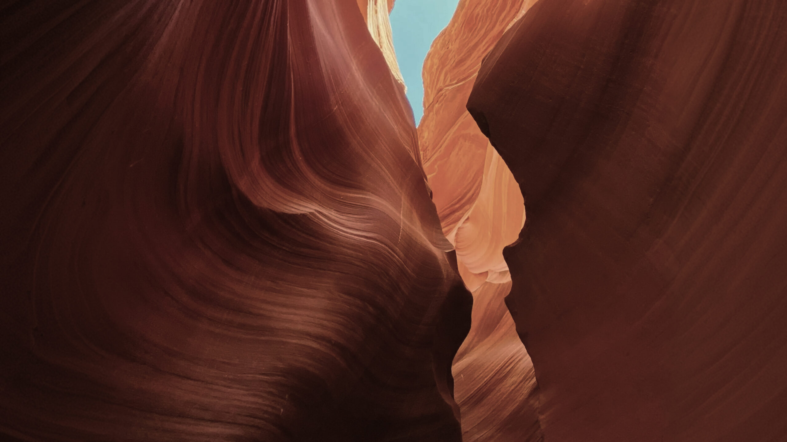 Expand Into Love and Compassion_ A Loving-Kindness Meditation