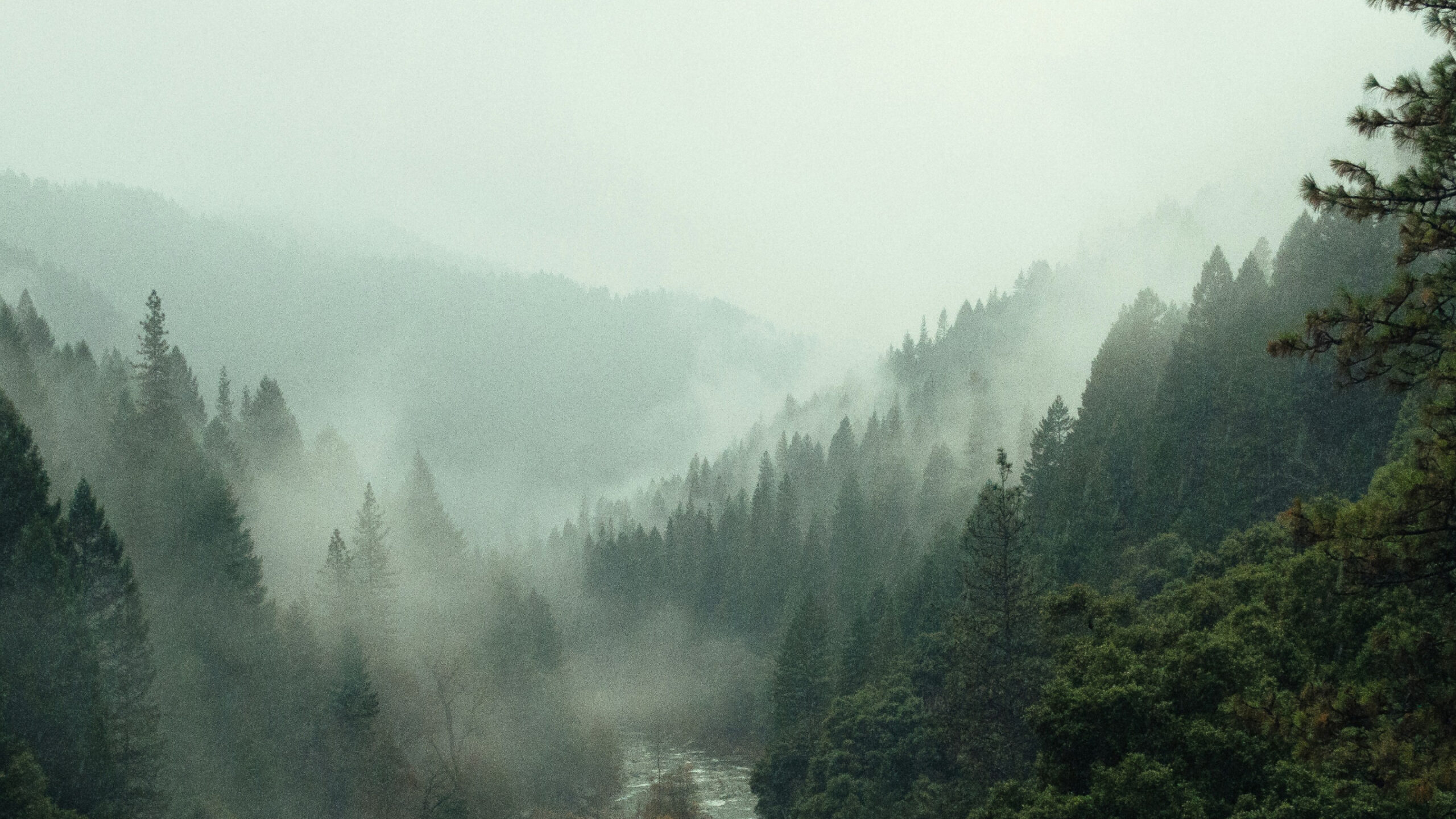 Full Chakra Alignment_ A Guided Meditation for Balance & Energy