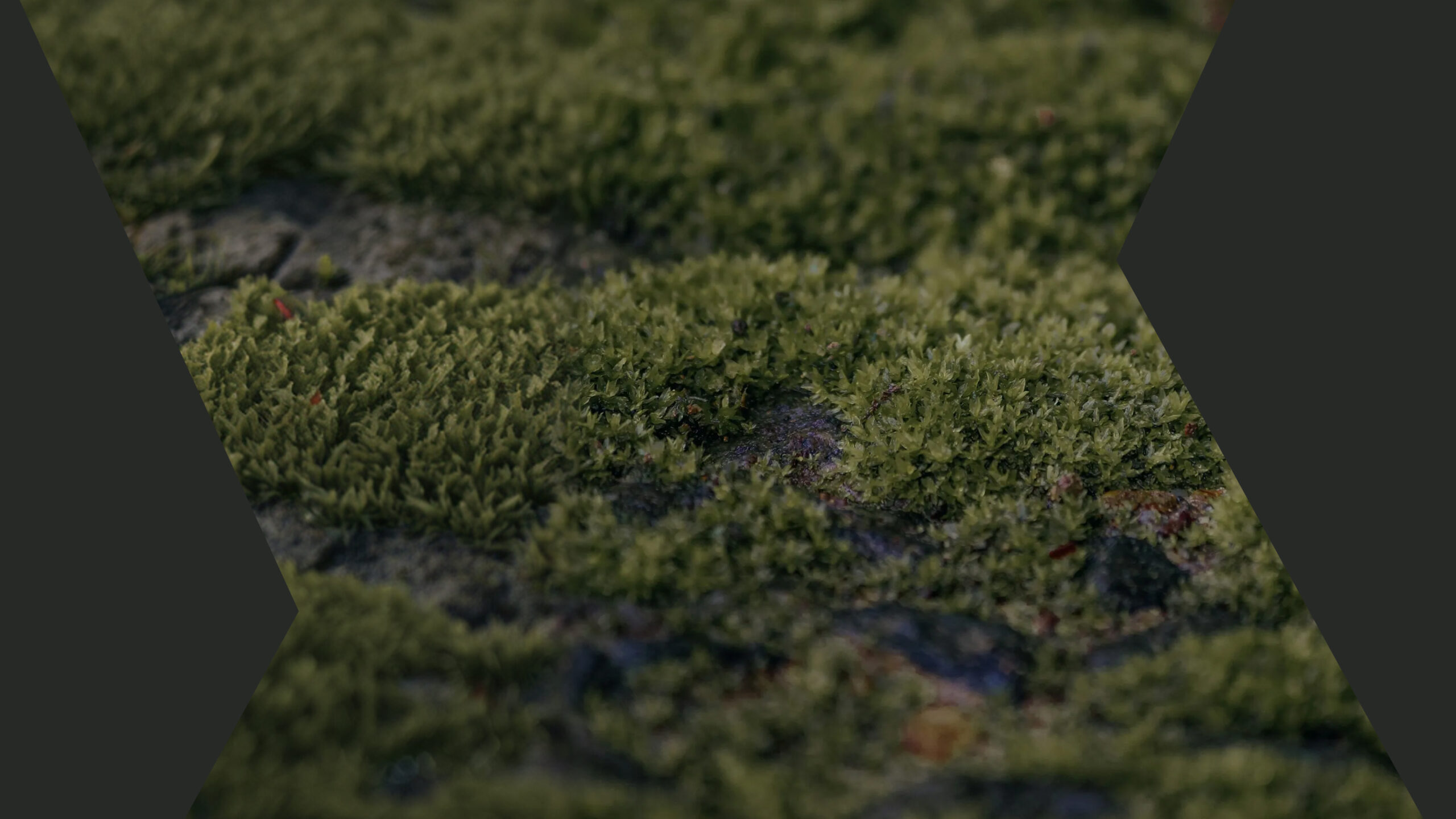 Healing Your Inner Child_ A Meditation for Deep Healing, Self Love, & Reconnection