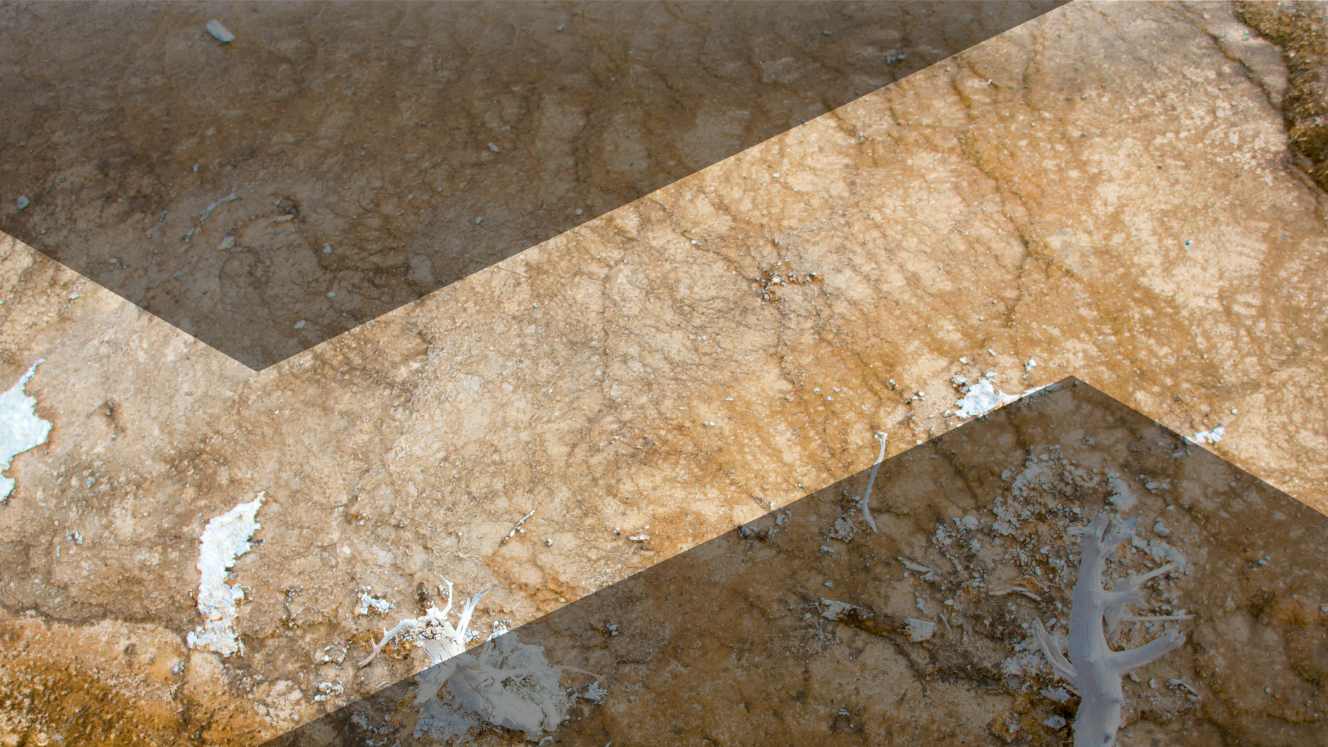 Meditation for Abundance_ Motivation, Energy, and Personal Power (Abundance Series)