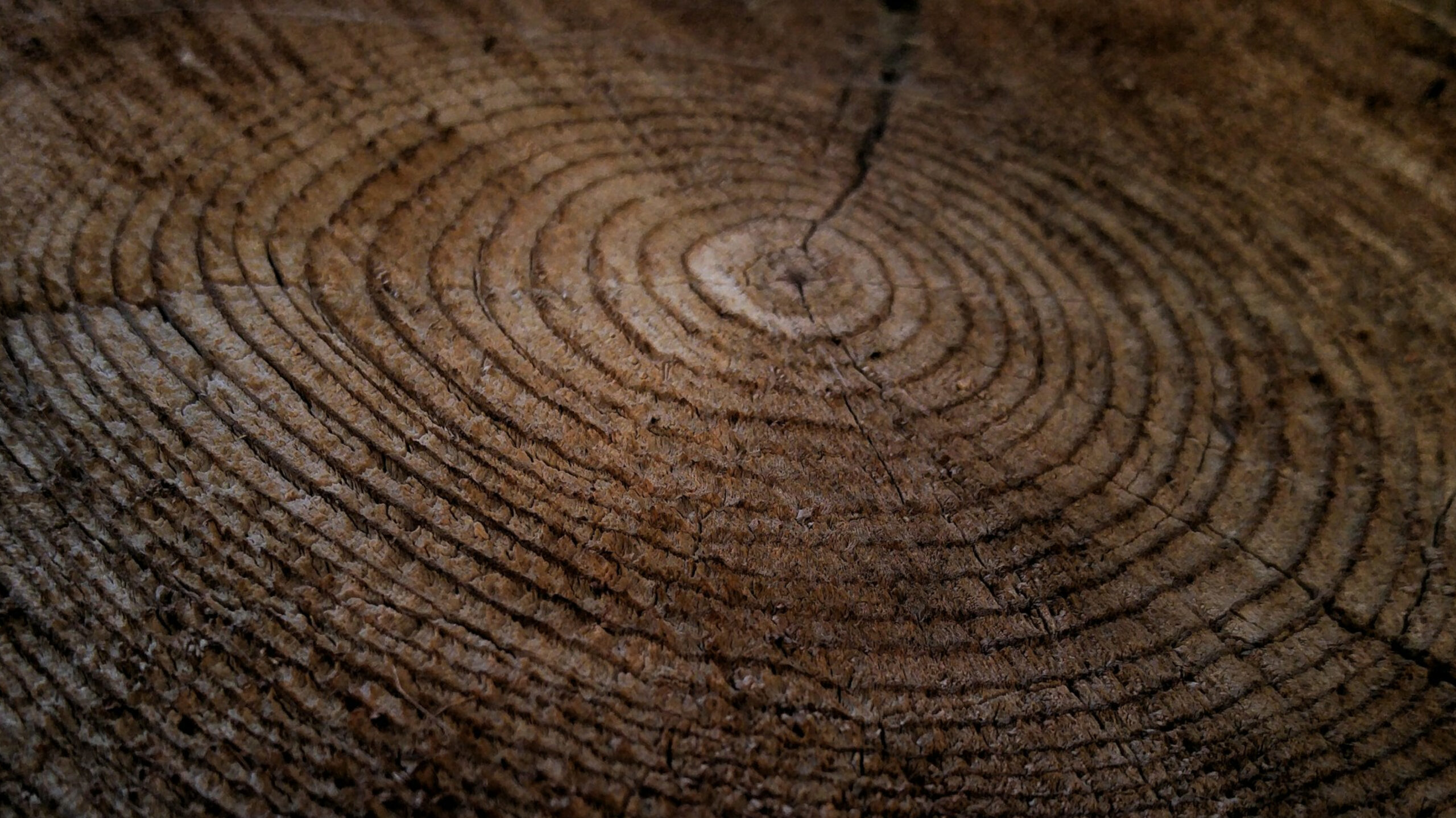 Meditation for Powerful Mental Clarity_ Ease Overwhelming Thoughts & Strengthen Your Inner Focus