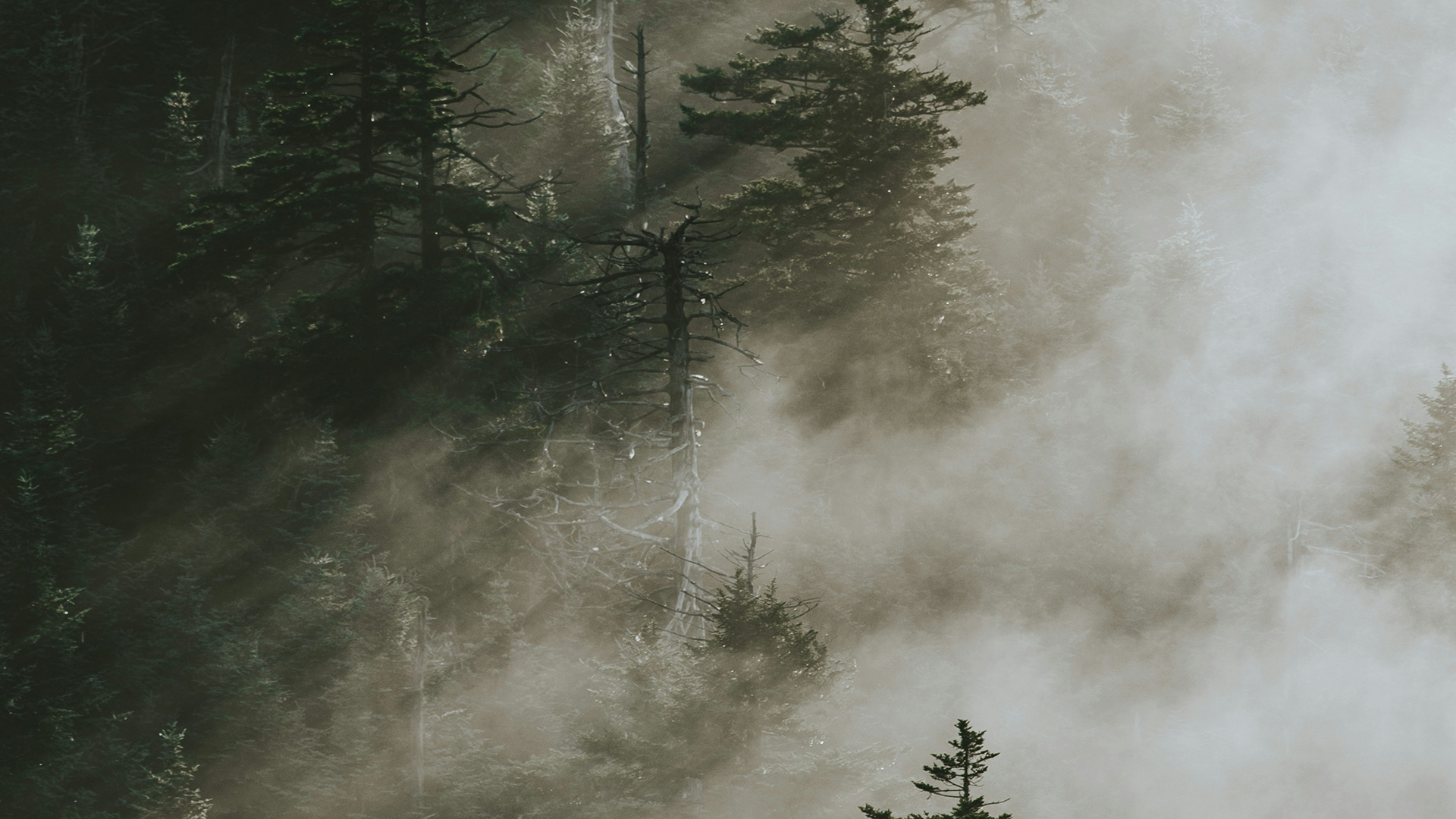 Meditation to Process Difficult Emotions_ Feel Your Feelings