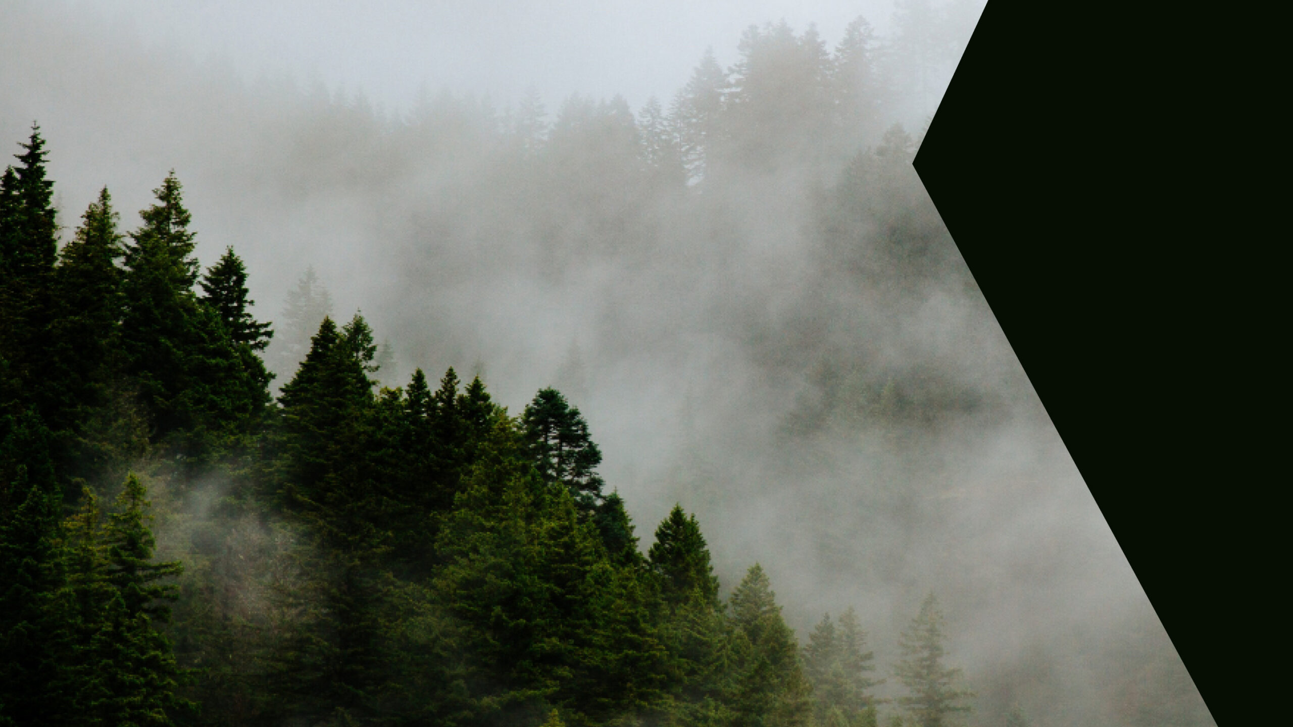 Meditation to Release Stress & Calm the Nervous System_ Comfort, Safety & Rest