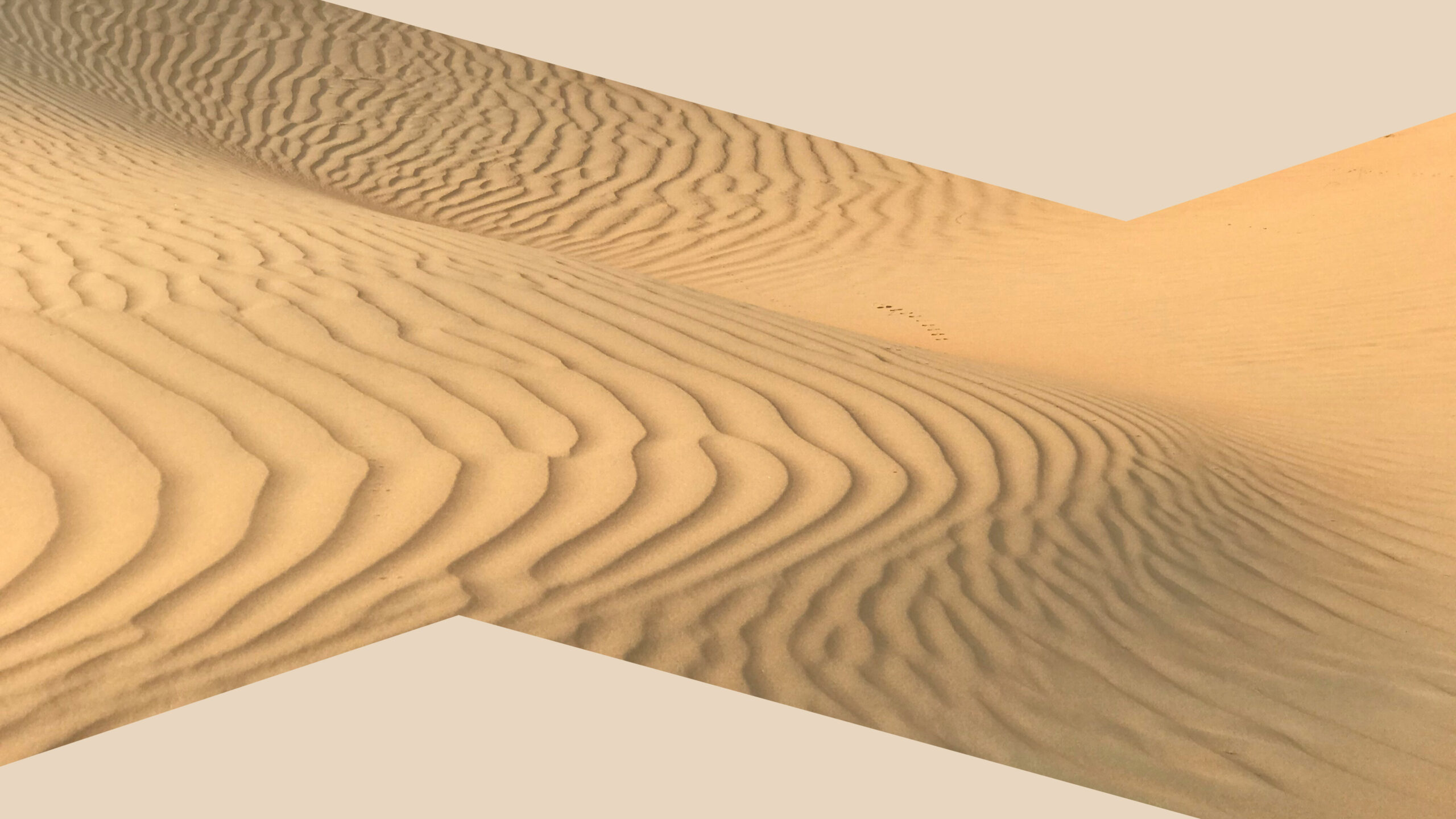 Mindset of Excellence Daily Meditation_ Strength, Courage & Gratitude