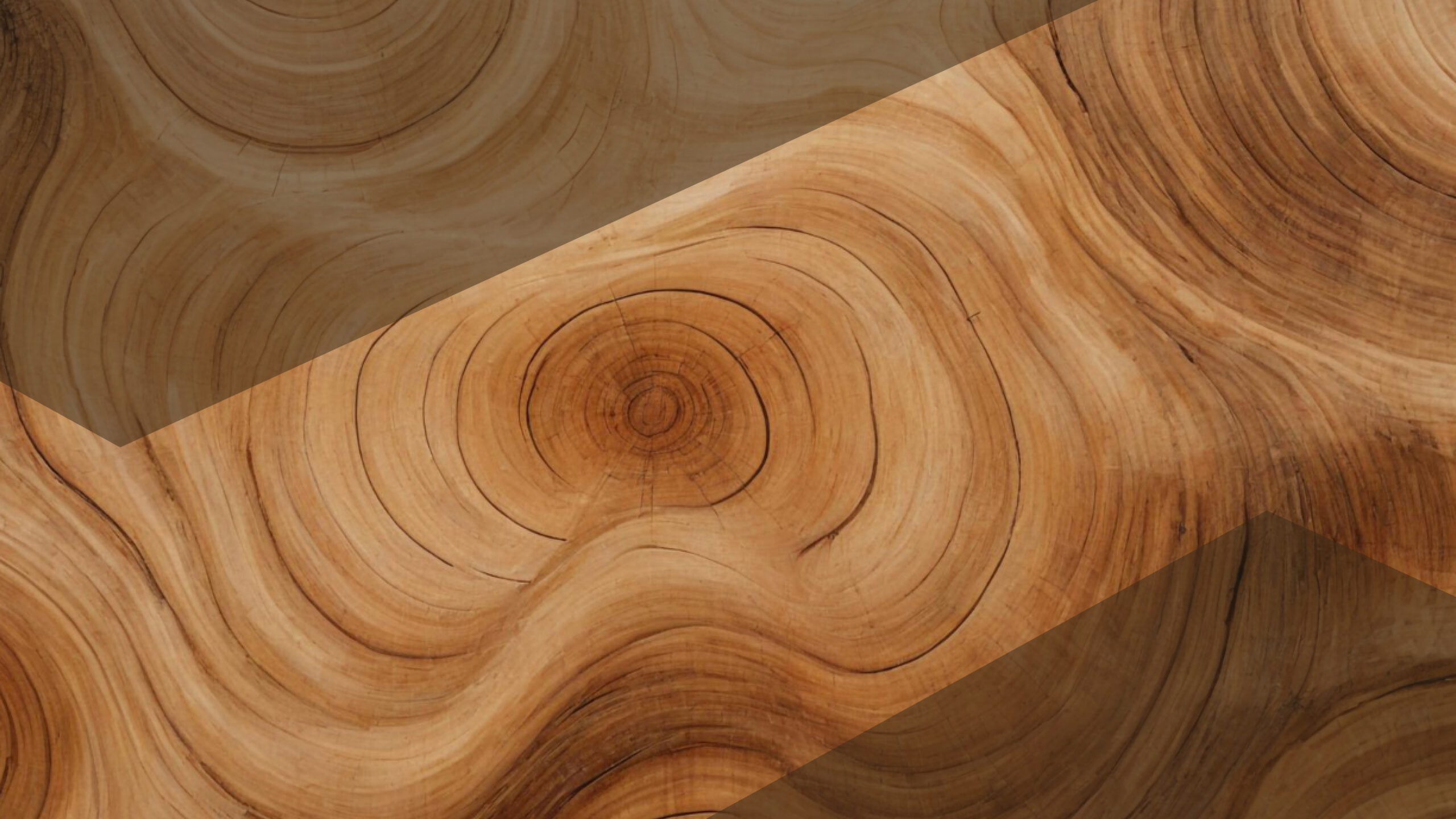 Reconnect with Your Divine Feminine Energy_ A Soft & Slow Guided Meditation