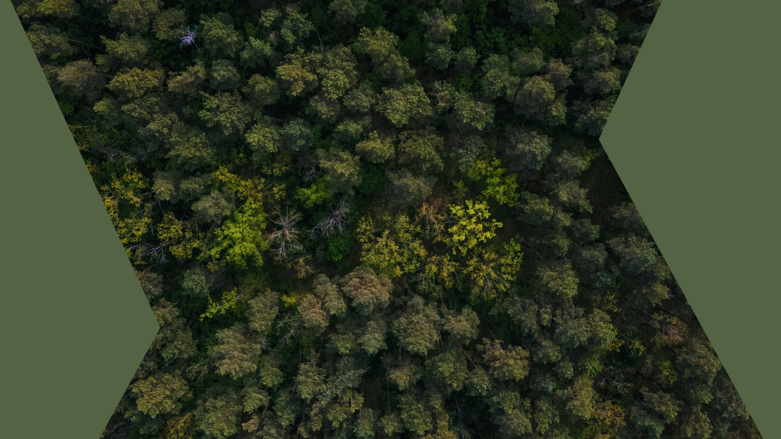 Return to Presence, A Gentle Practice of Noticing_ Guided Meditation