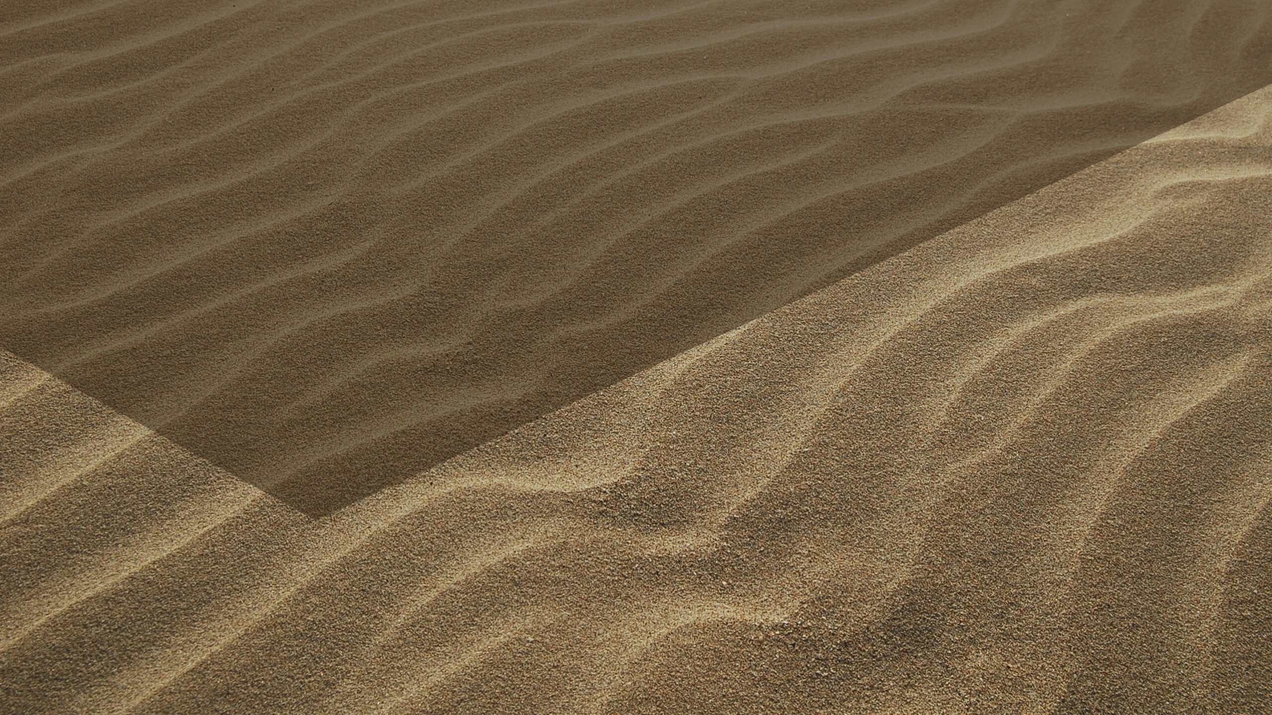 Soothing Deep Sleep Talk Down_ Guided Meditation to Fall Asleep Quickly & Peacefully