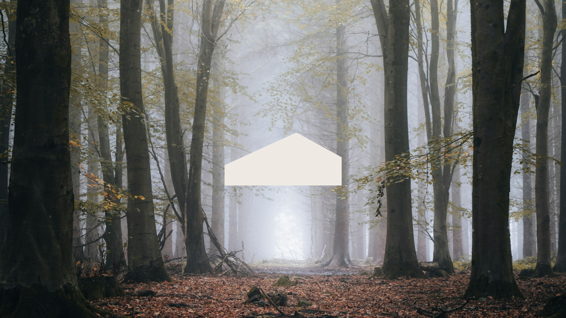 Stop Letting Fear & Anxiety Control Your Life