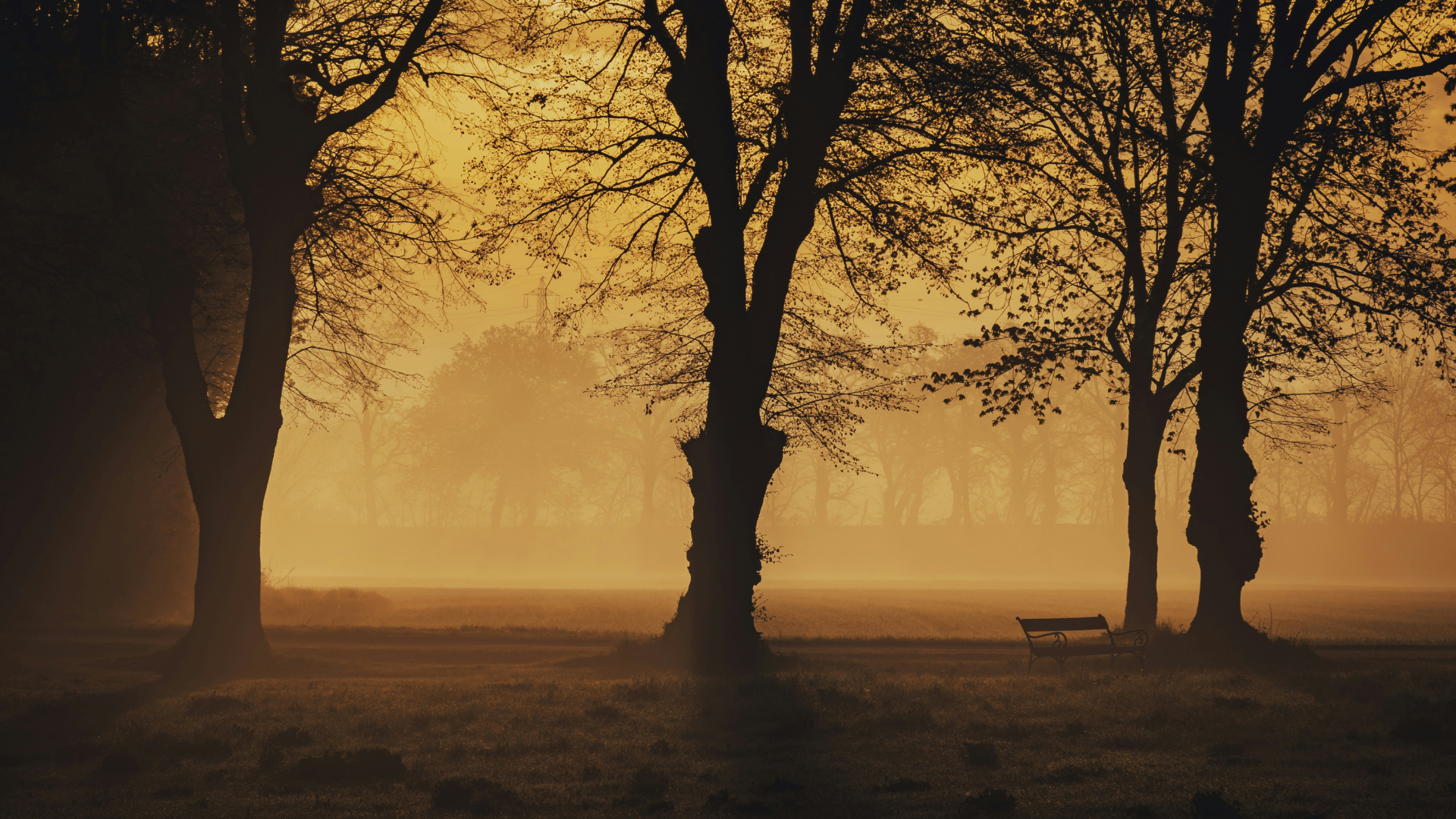 Morning Gratitude Affirmations for Peace, Bliss, and Positivity